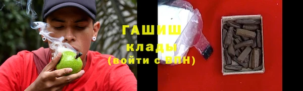 прущие грибы Алзамай