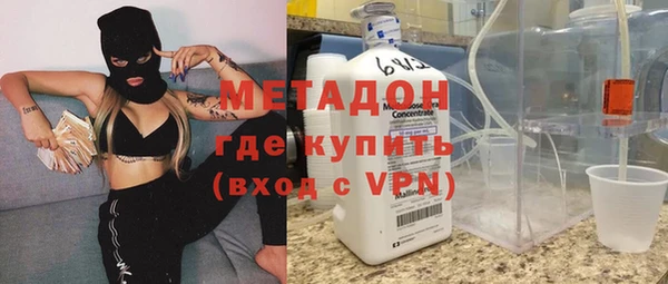прущие грибы Алзамай